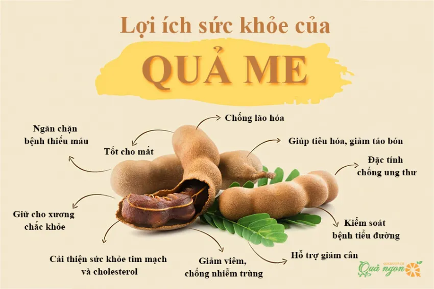 10 Lợi ích hàng đầu của quả me đối với sức khỏe