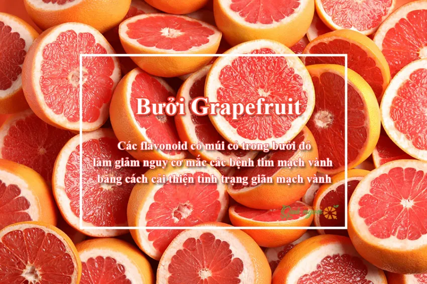 10 Lợi ích sức khỏe tuyệt vời của bưởi đỏ Grapefruit