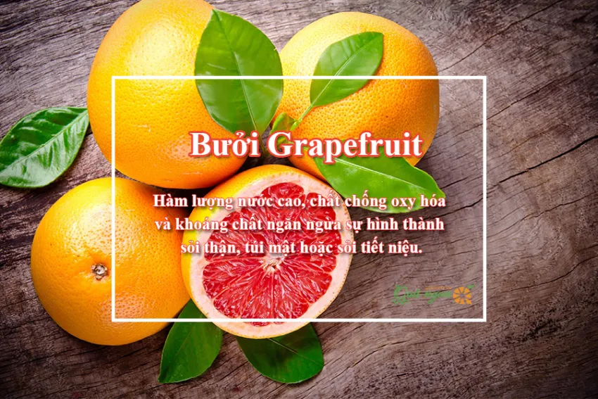 10 Lợi ích sức khỏe tuyệt vời của bưởi đỏ Grapefruit