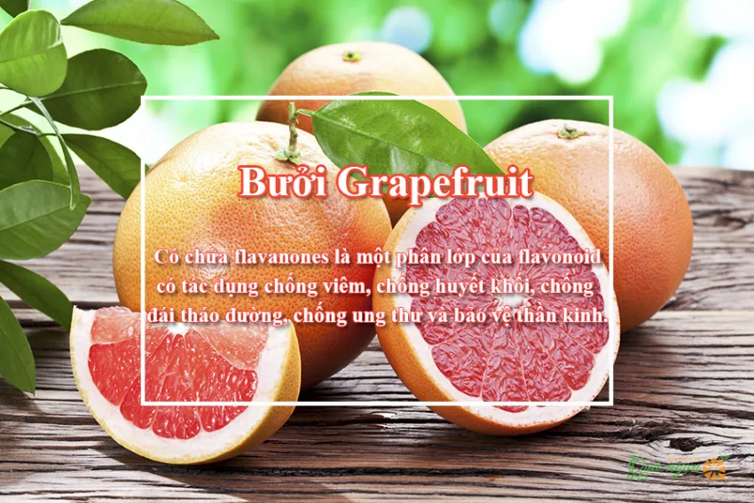 10 Lợi ích sức khỏe tuyệt vời của bưởi đỏ Grapefruit