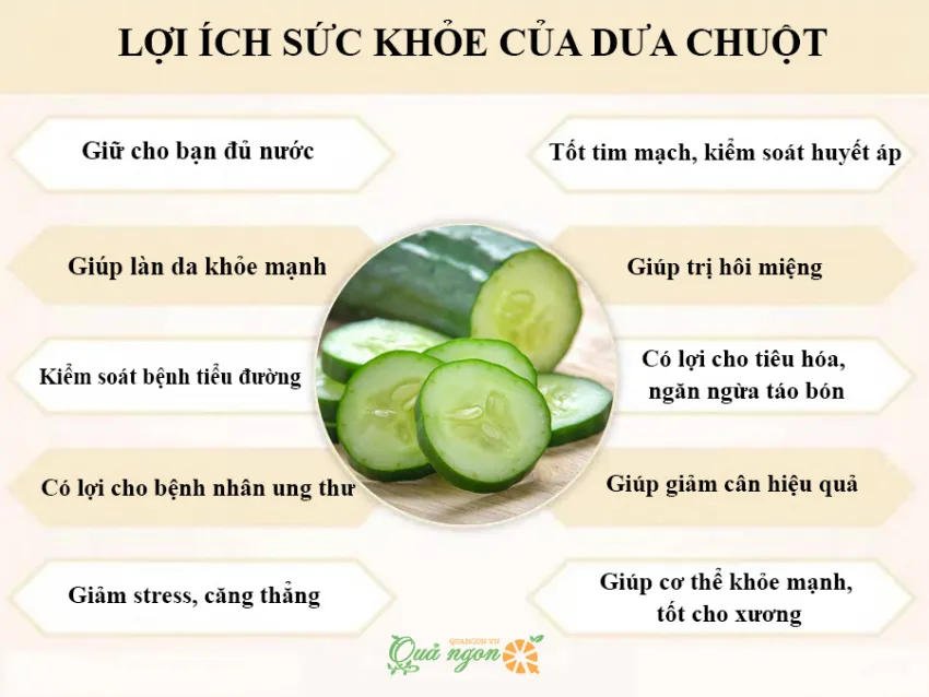 10 Lợi ích tuyệt vời của dưa chuột đối với sức khỏe