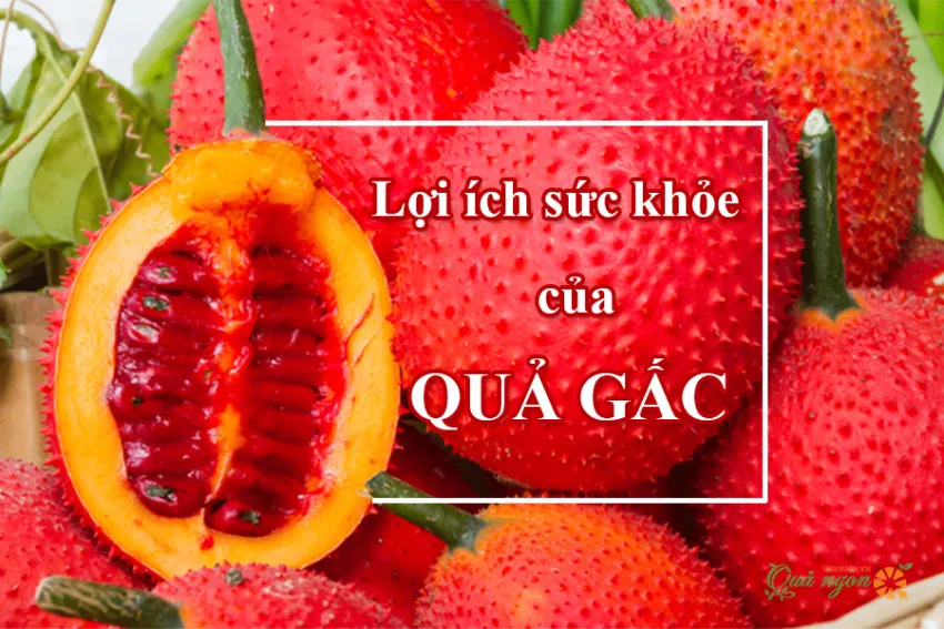 7 Lợi ích tuyệt vời của quả gấc đối với sức khỏe và làn da