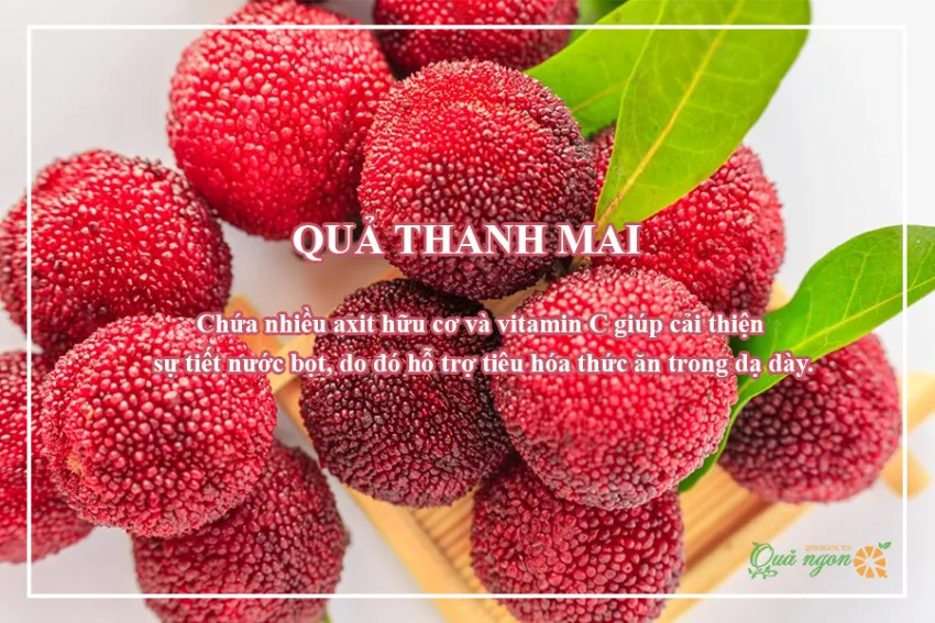 8 Lợi ích tuyệt vời của quả thanh mai đối với sức khỏe