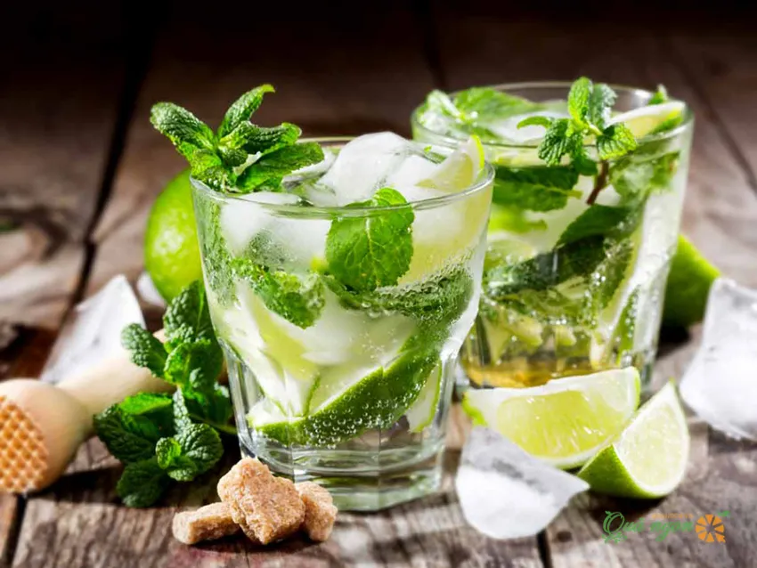 Cách làm Mojito chanh bạc hà đúng công thức