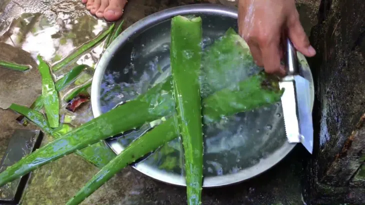 Cách nấu chè hạt sen đậu xanh nha đam giải nhiệt ngày hè