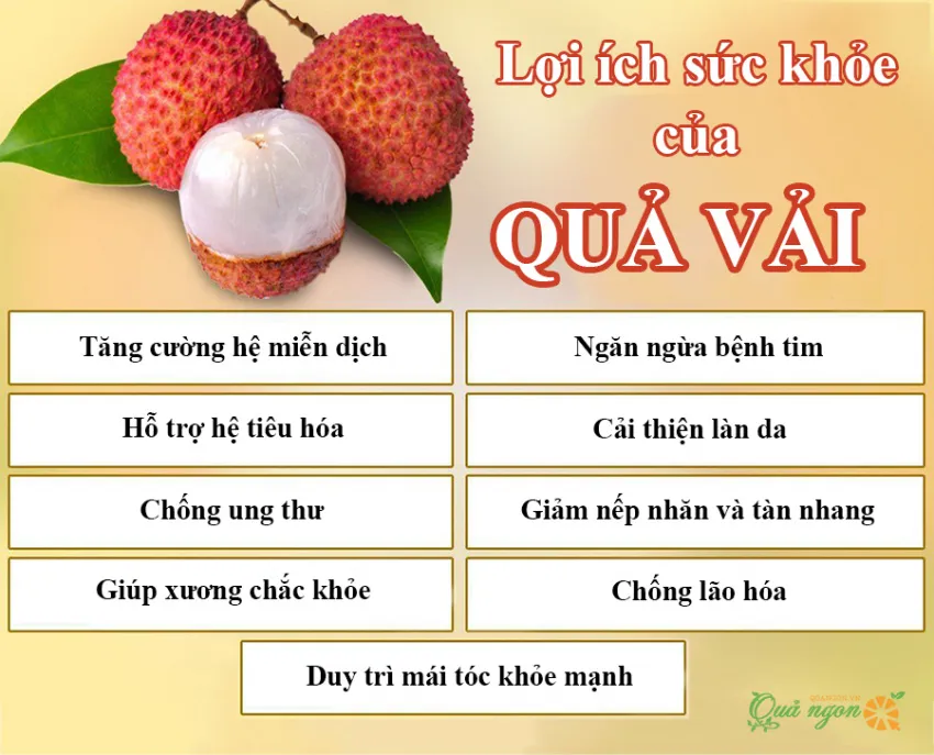 Lợi ích của quả vải: Từ tiêu hóa tốt hơn đến chống lão hóa