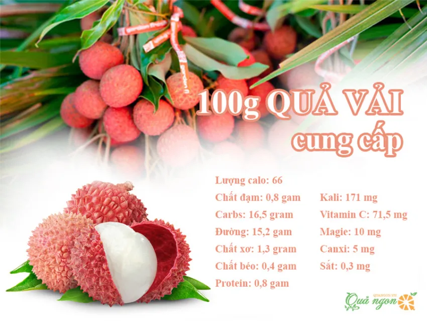 Lợi ích của quả vải: Từ tiêu hóa tốt hơn đến chống lão hóa