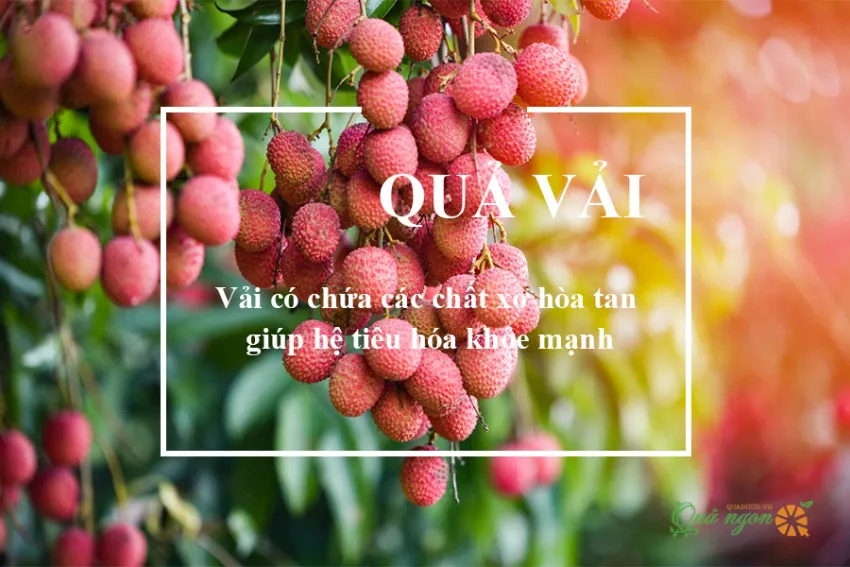 Lợi ích của quả vải: Từ tiêu hóa tốt hơn đến chống lão hóa