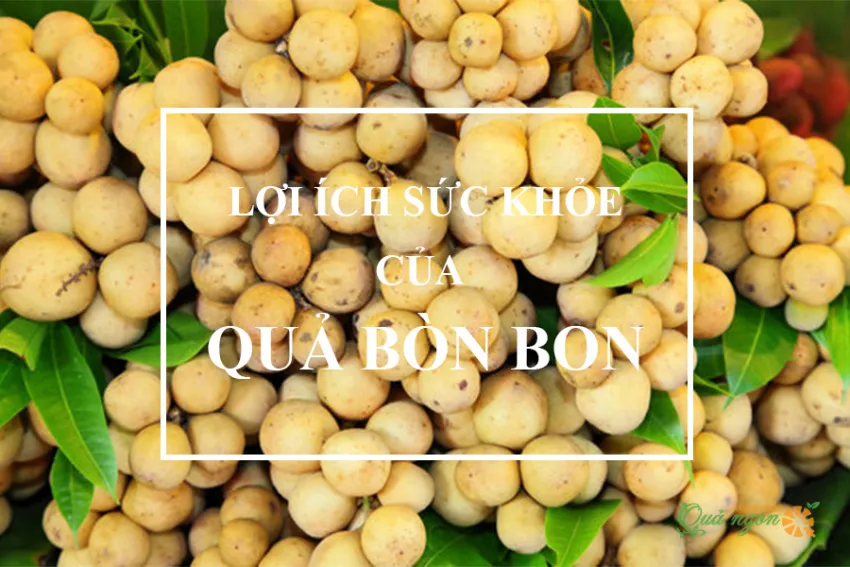 Lợi ích sức khỏe tuyệt vời của bòn bon mà bạn nên biết